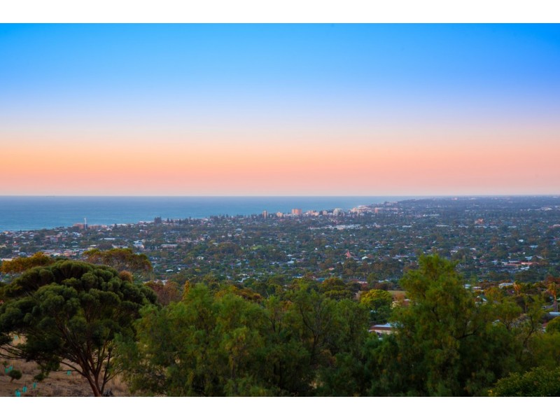 10 Gulfview Road, Seaview Downs SA 5049