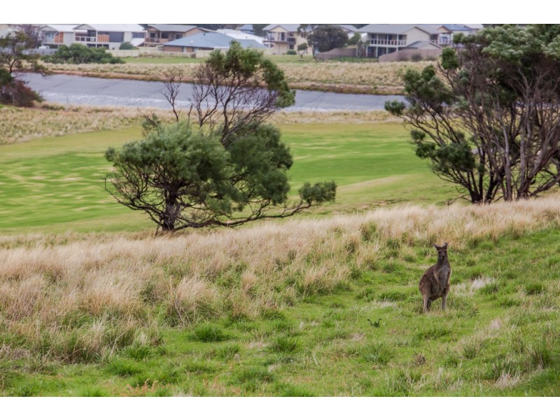 Lot 51 Huntingdale Drive, Normanville SA 5204