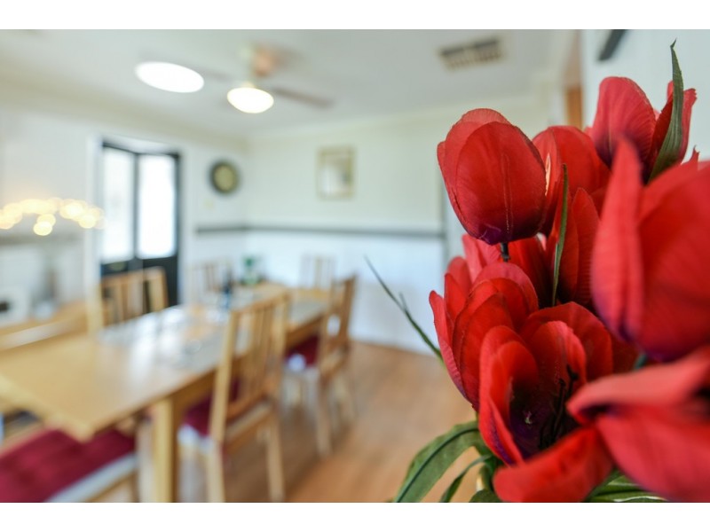 48 Jeanette Crescent, Aberfoyle Park SA 5159