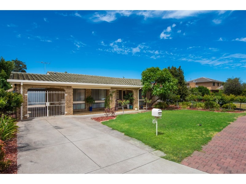 40 Masters Avenue, Marion SA 5043