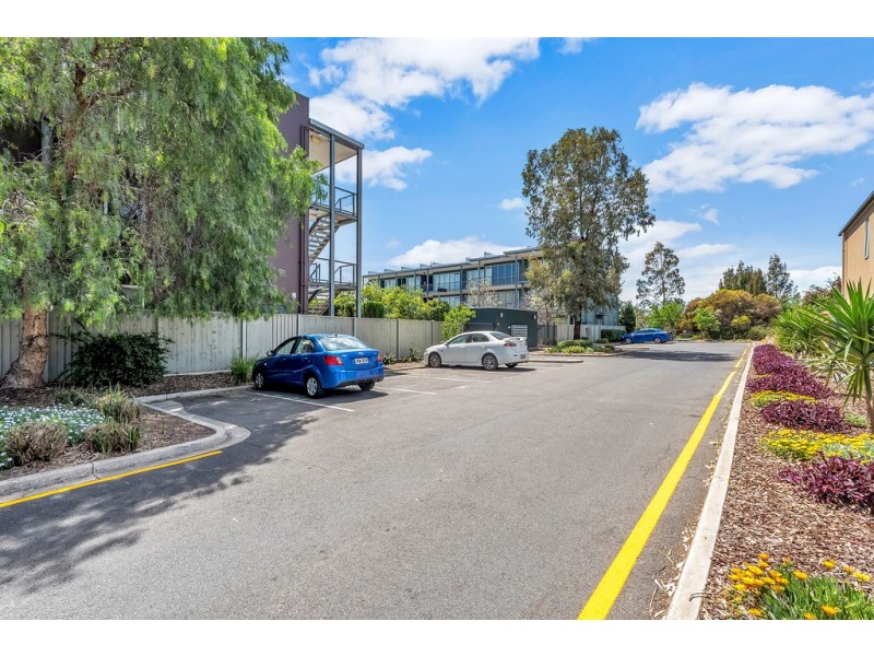 18/13 Yates Street, Mawson Lakes SA 5095