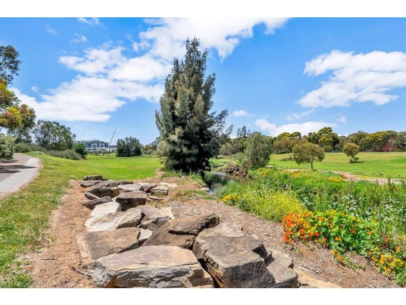 18/13 Yates Street, Mawson Lakes SA 5095