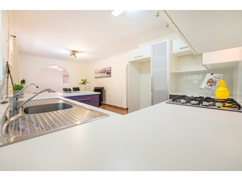 16 Emerald Street, Flagstaff Hill SA 5159