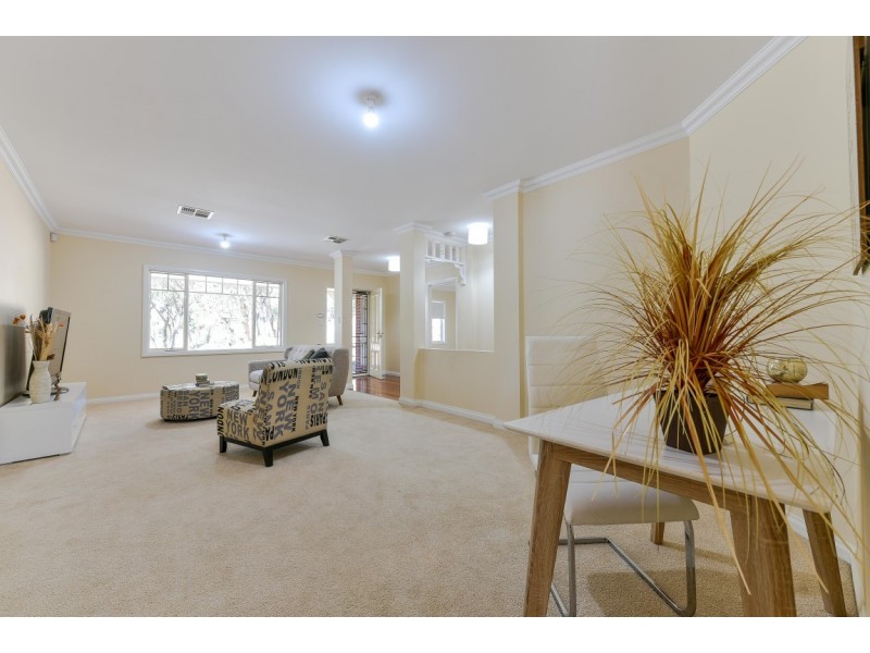 16 Sean Court, Coromandel Valley SA 5051