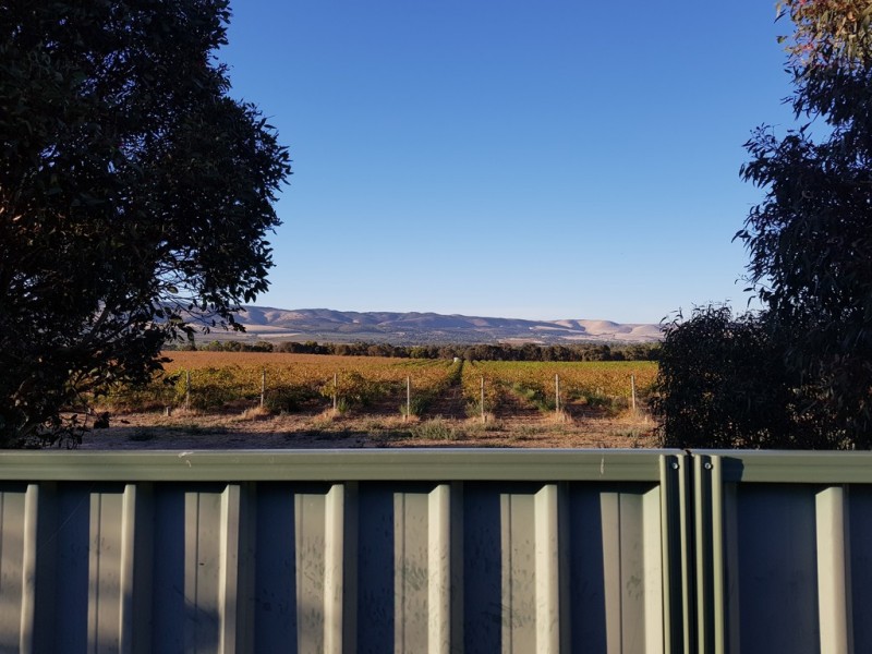 8 Moss Court, Aldinga Beach SA 5173