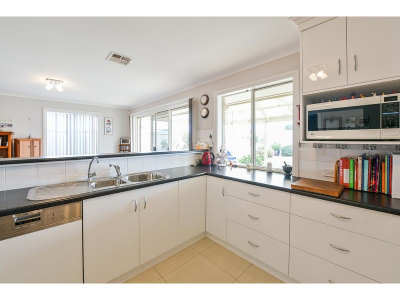 19 Sandery Avenue, Seacombe Gardens SA 5047