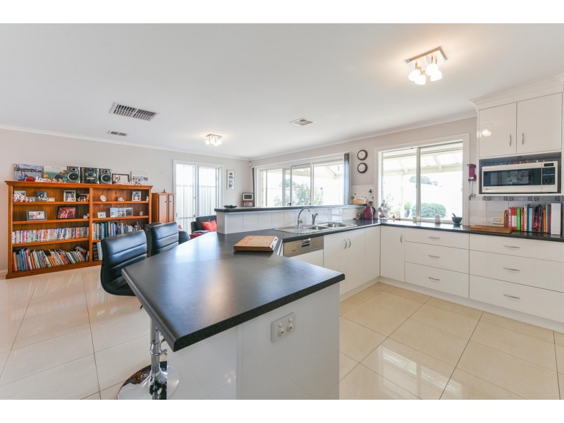 19 Sandery Avenue, Seacombe Gardens SA 5047