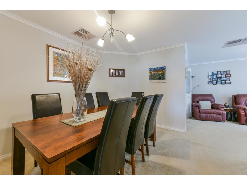 19 Sandery Avenue, Seacombe Gardens SA 5047