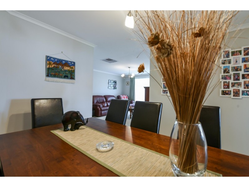 19 Sandery Avenue, Seacombe Gardens SA 5047