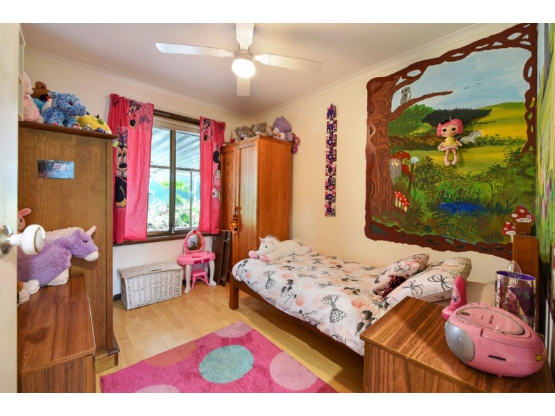 4 Palomino Place, Hackham SA 5163