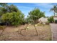4 Palomino Place, Hackham SA 5163