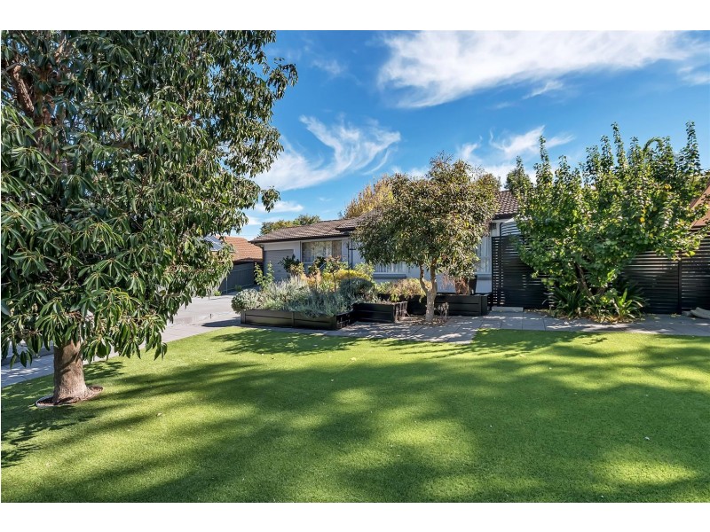 7 Boxwood Road, O’halloran Hill SA 5158
