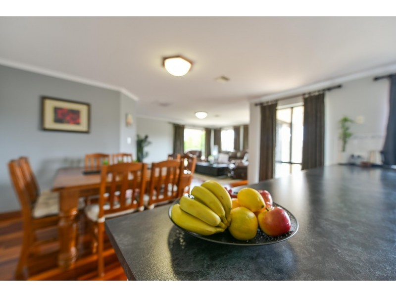 14 Enginehouse Drive, Sheidow Park SA 5158