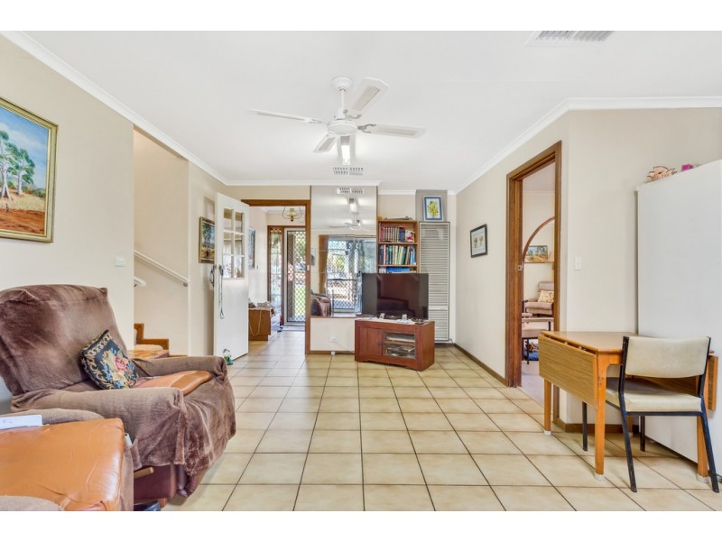 19 Suzanne Avenue, Morphett Vale SA 5162