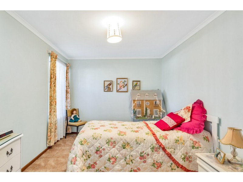 19 Suzanne Avenue, Morphett Vale SA 5162