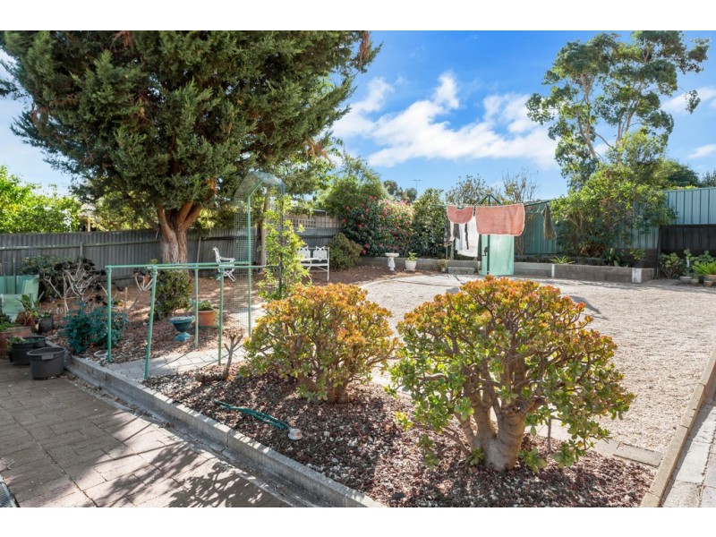 19 Suzanne Avenue, Morphett Vale SA 5162