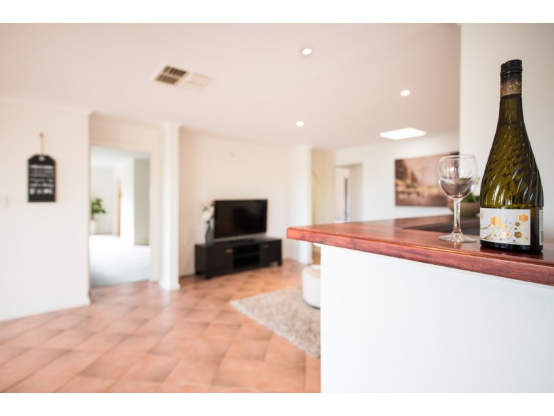9 Diosma Drive, Morphett Vale SA 5162