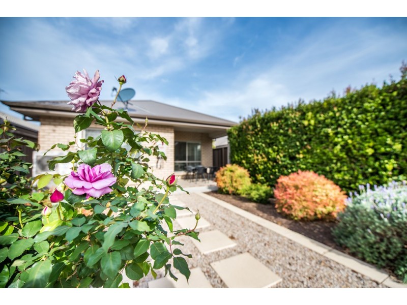57 Dunorlan Road, Edwardstown SA 5039