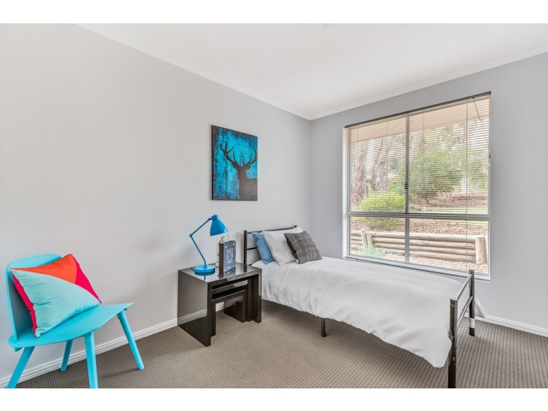 13 Homestead drive, Aberfoyle Park SA 5159