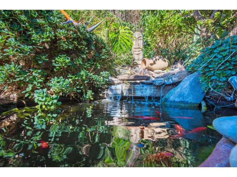 4 Chiton Avenue, Seaford Rise SA 5169