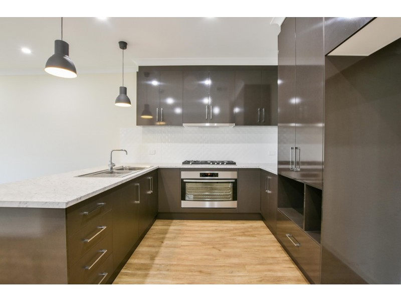 36 David Avenue, Mitchell Park SA 5043