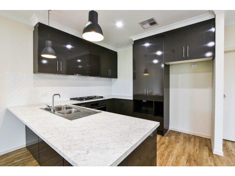36 David Avenue, Mitchell Park SA 5043
