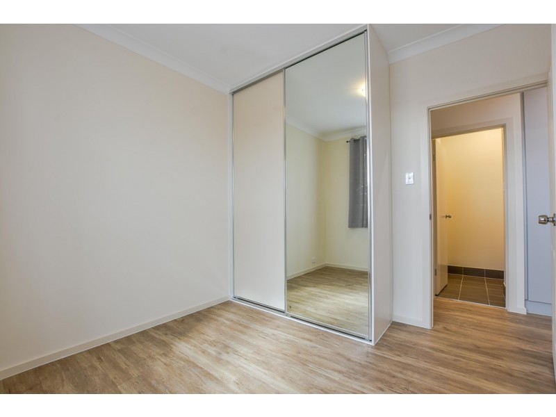 36 David Avenue, Mitchell Park SA 5043
