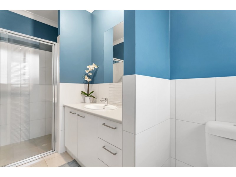 3 Seagull Street, Aldinga Beach SA 5173