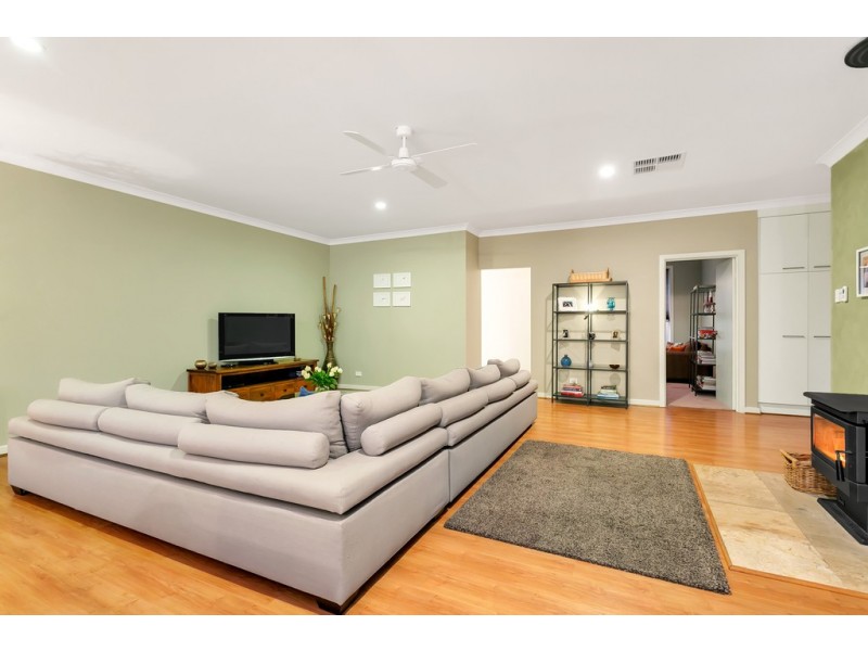 3 Seagull Street, Aldinga Beach SA 5173