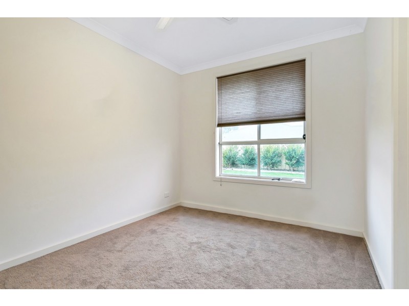 3 Seagull Street, Aldinga Beach SA 5173