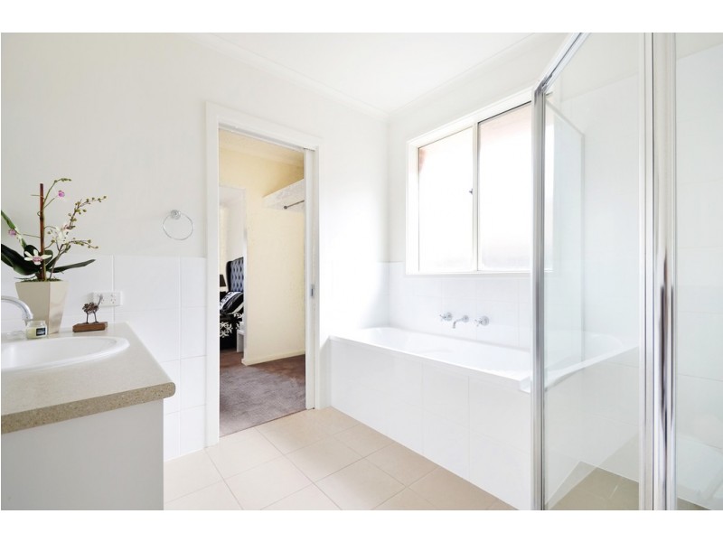 7 Albert Street, Ascot Park SA 5043