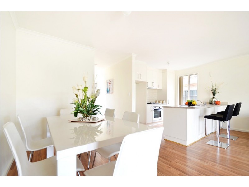 7 Albert Street, Ascot Park SA 5043