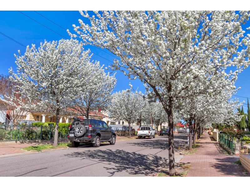 7/20 Hartland Avenue, Black Forest SA 5035