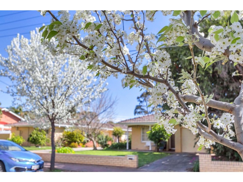 7/20 Hartland Avenue, Black Forest SA 5035