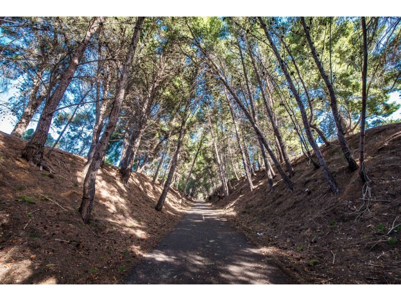 10 Pine View Close, Old Reynella SA 5161