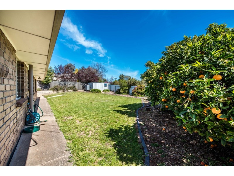 6 Gloucester Terrace, Mclaren Vale SA 5171