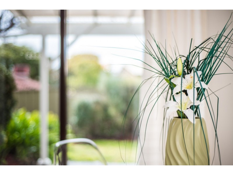 3 Garnet Crescent, Flagstaff Hill SA 5159