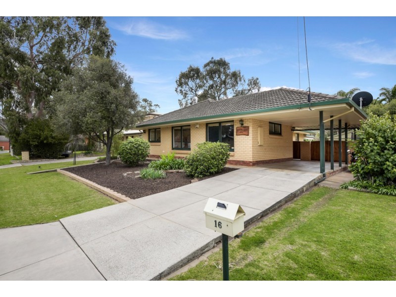 16 Frances Street, Morphett Vale SA 5162