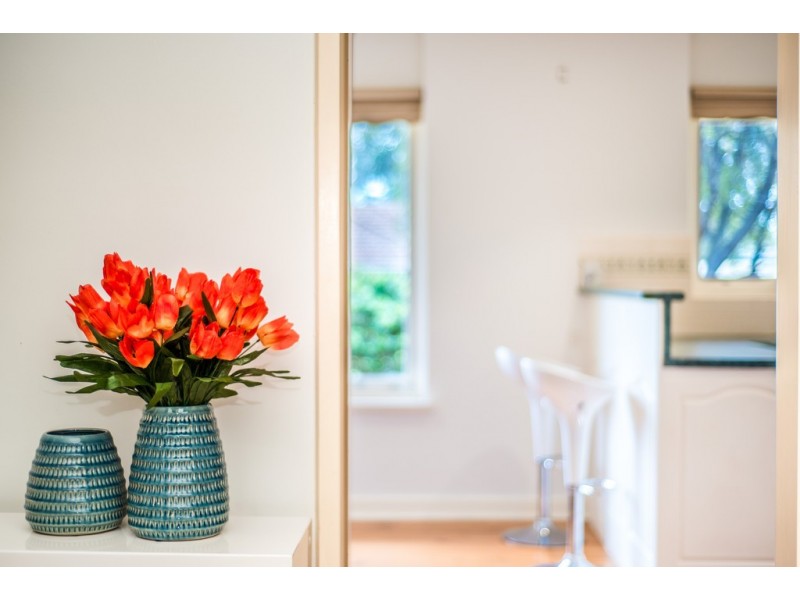 16 Frances Street, Morphett Vale SA 5162