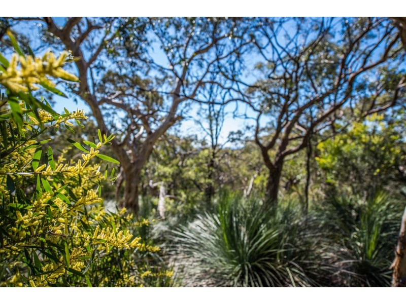 Lot 103 (352) Range Road West, Willunga South SA 5172