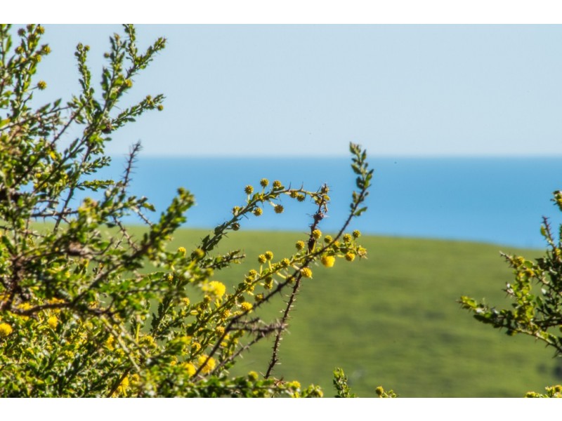 Lot 103 (352) Range Road West, Willunga South SA 5172