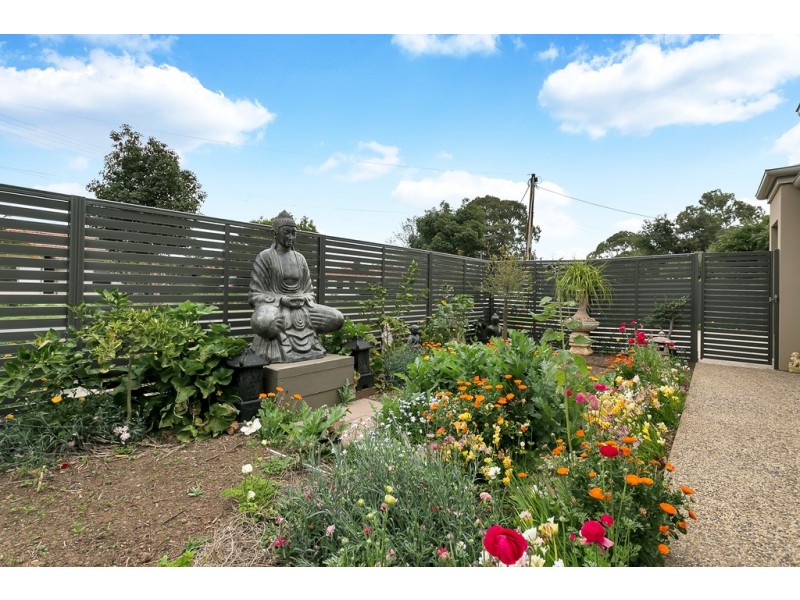 1 Tait Avenue, Marion SA 5043