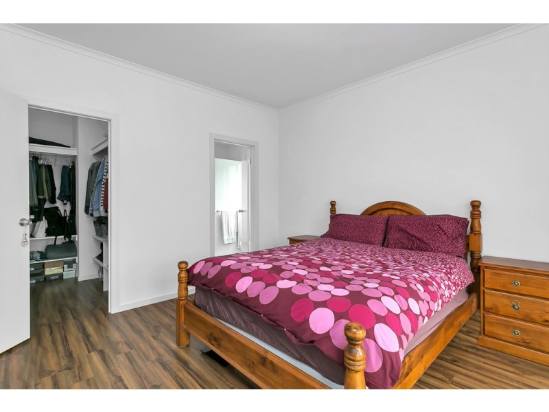 1 Tait Avenue, Marion SA 5043