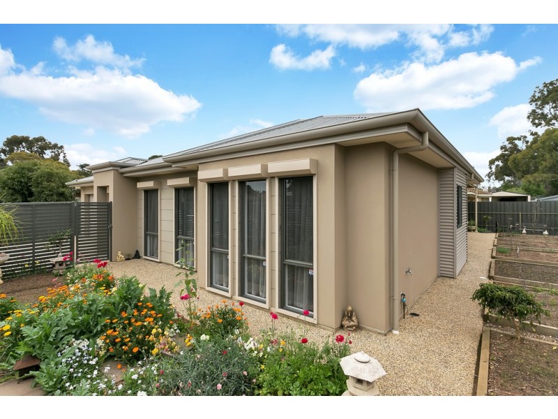 1 Tait Avenue, Marion SA 5043