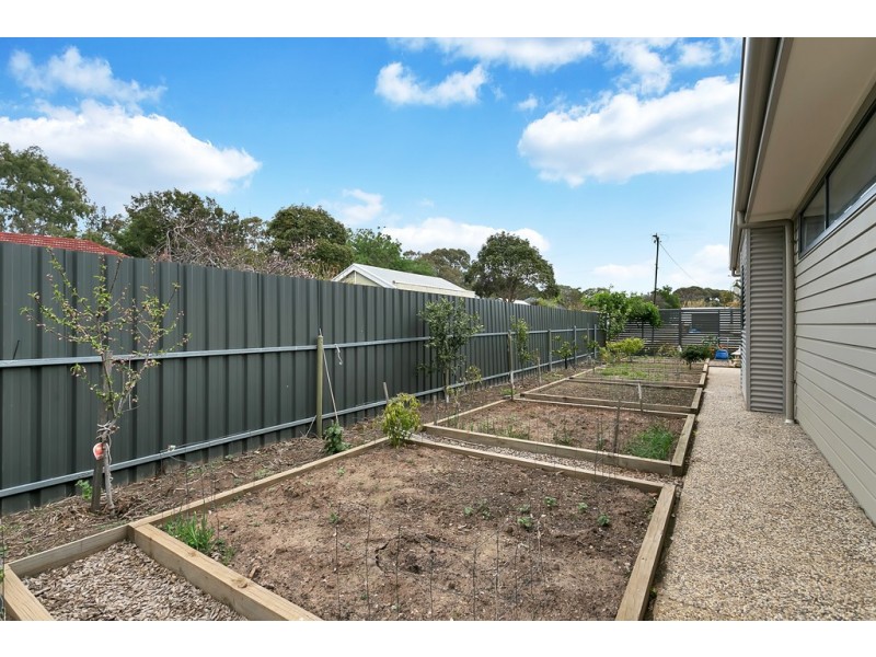 1 Tait Avenue, Marion SA 5043