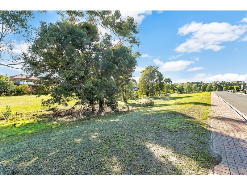 16 Mierisch Court, Morphett Vale SA 5162
