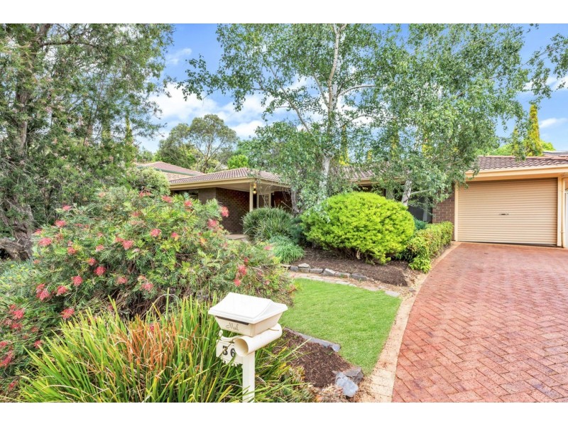 36 McHarg Road, Happy Valley SA 5159