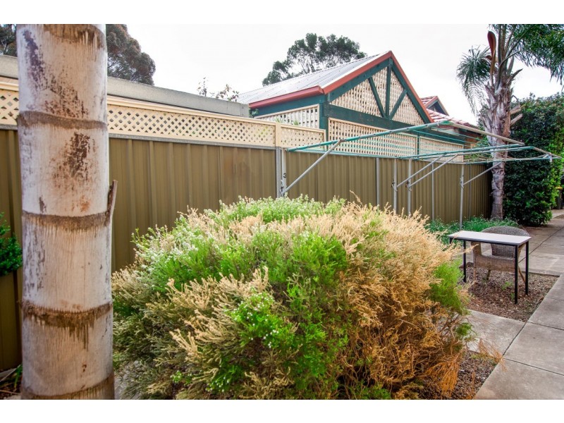 3-49 Ballantyne Street, Thebarton SA 5031