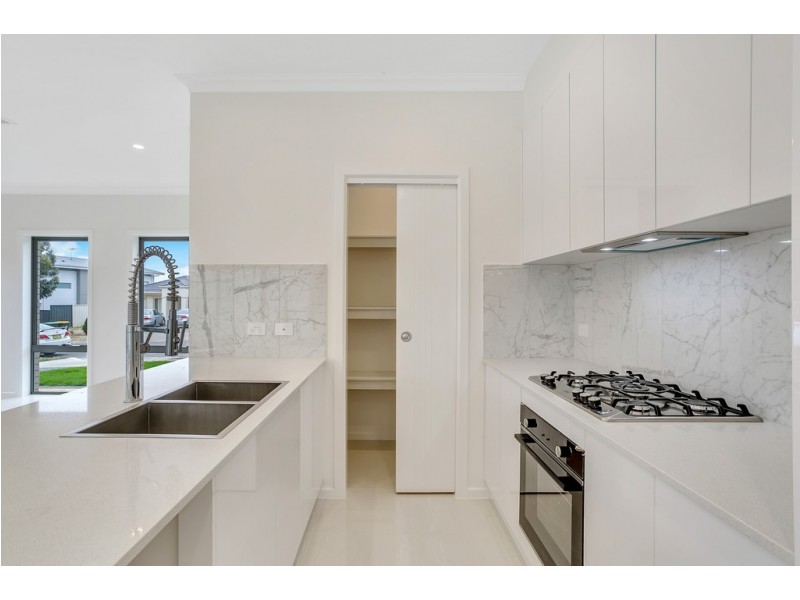 8 Oak Avenue, Clovelly Park SA 5042