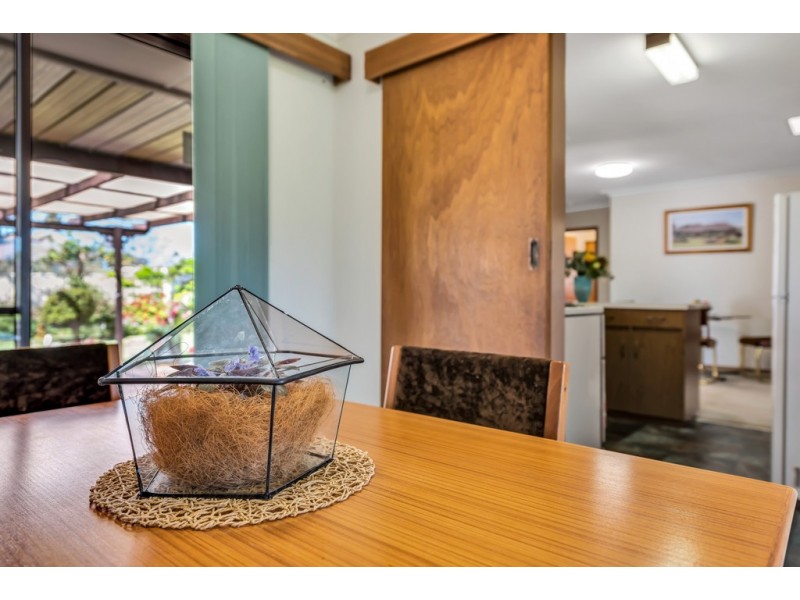 16 Pankina Grove, Marion SA 5043